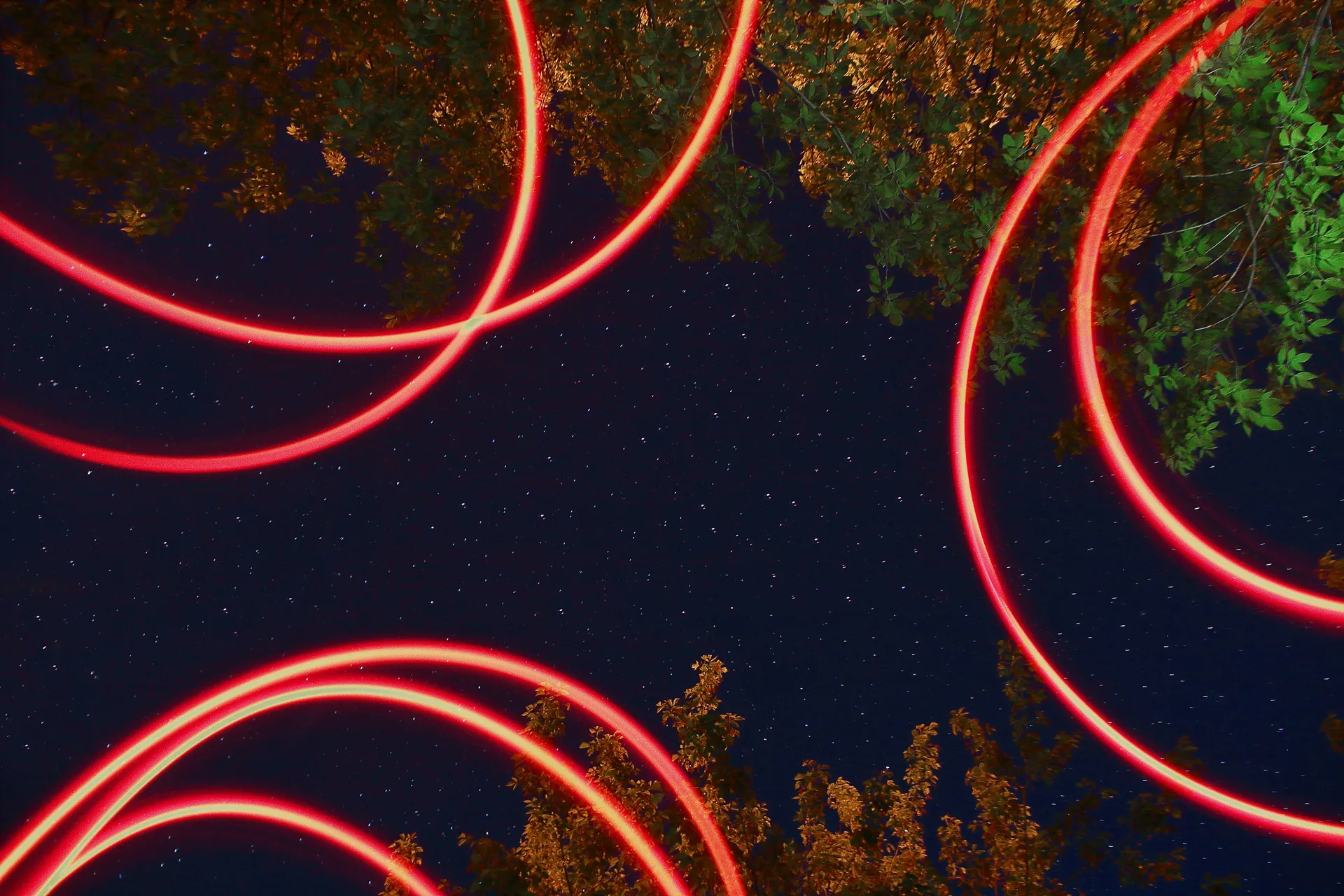 Cover Image for The First Spark